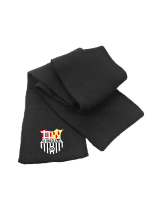 Écharpe AS TINCQUIZEL