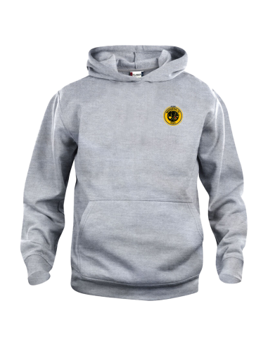 Sweat à capuche WASQUEHAL FC